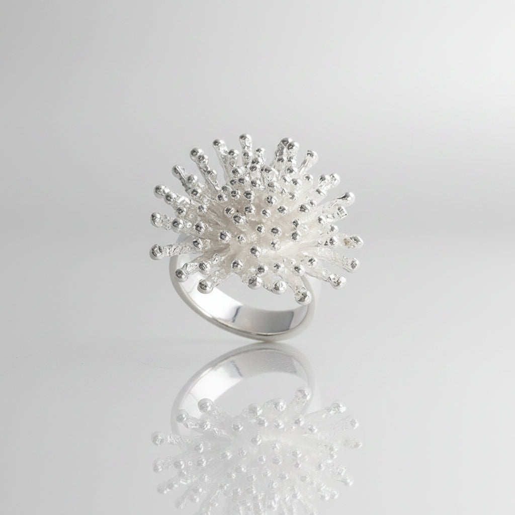 silver ring looks like a starnurst