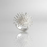 silver ring looks like a starnurst