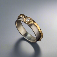 Two Tone Orbed Wedding Ring