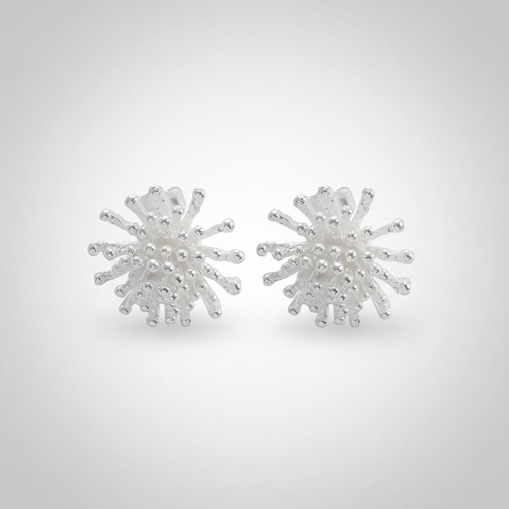 Two  silver stud earrings on a white background