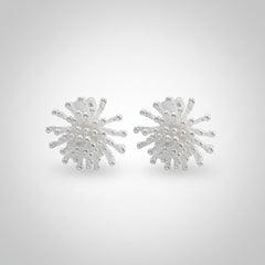 Two  silver stud earrings on a white background