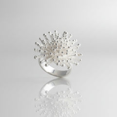 silver ring looks like a starnurst